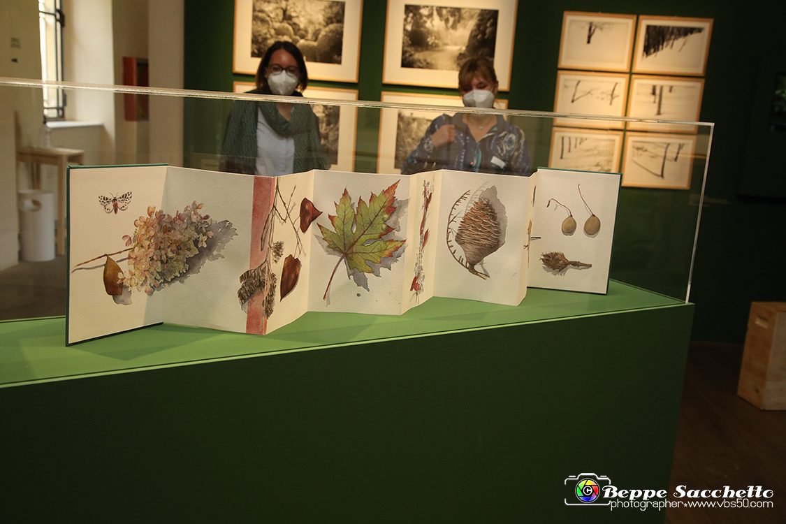 VBS_1200 - Castello di Miradolo - Mostra Oltre il giardino l'Abbecedario di paolo Pejrone.jpg